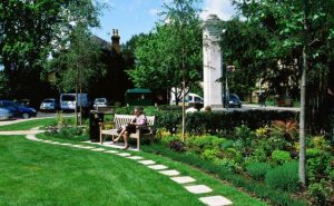 Teddington-Memorial-Hospital The Friends of TMH create a wellbeing garden