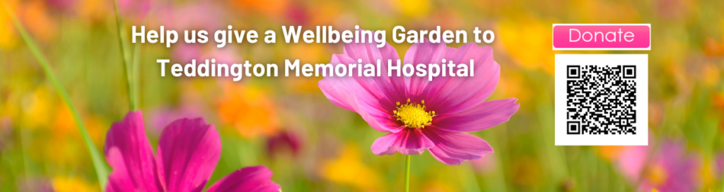 Help us give a wellbeing garden to Teddington Memorial Hospital